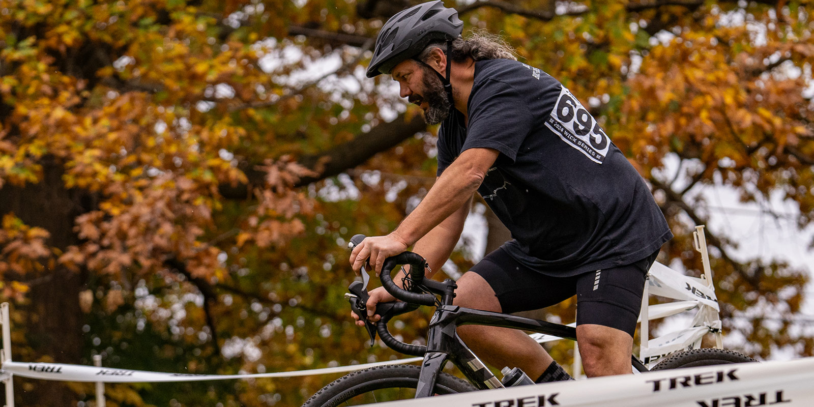 Darwin C by Mitchell Vincent